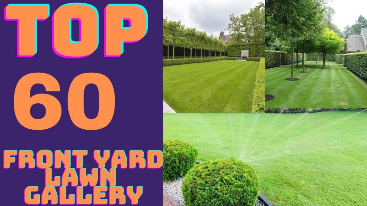 A Beautiful Lawn Gallery In Your Front Yard A Beautiful Lawn Gallery In Your Front Yard