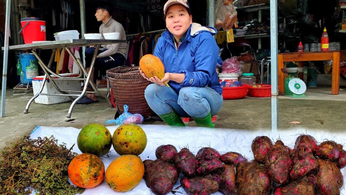 SimplelifeĐH /harvest,potatoes,gac fruit,buy garden nets.
