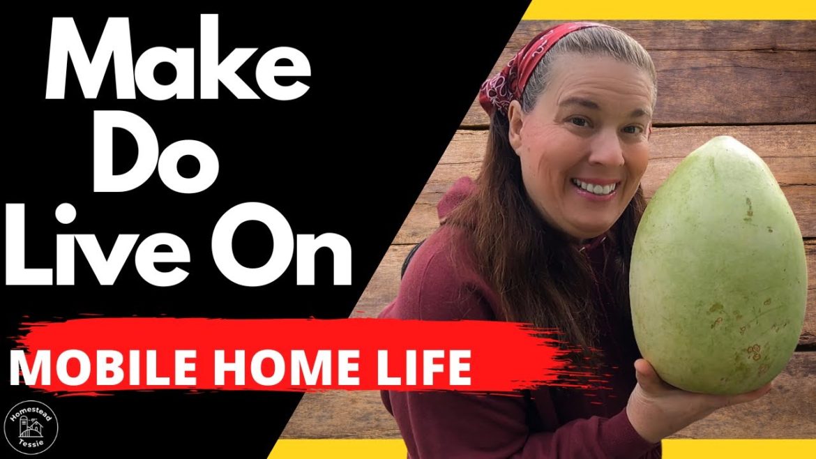 I can't Waste anything - Making Do on VERY Little