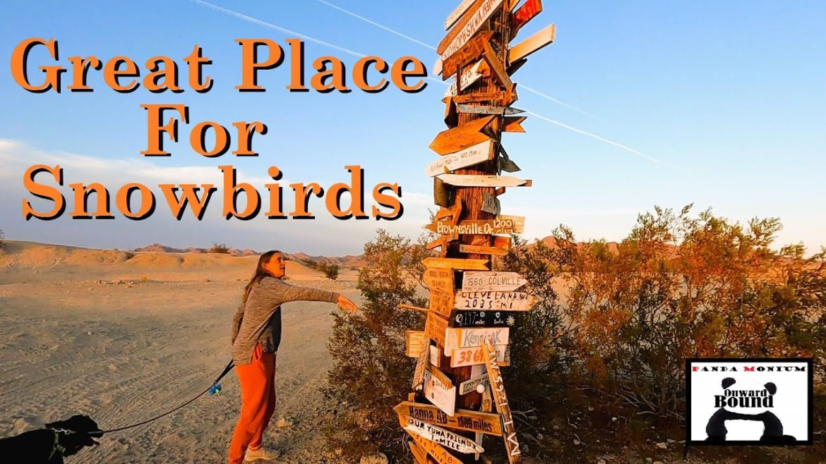 Snowbirds, Nomad Friendly Yuma & Christmas Lights