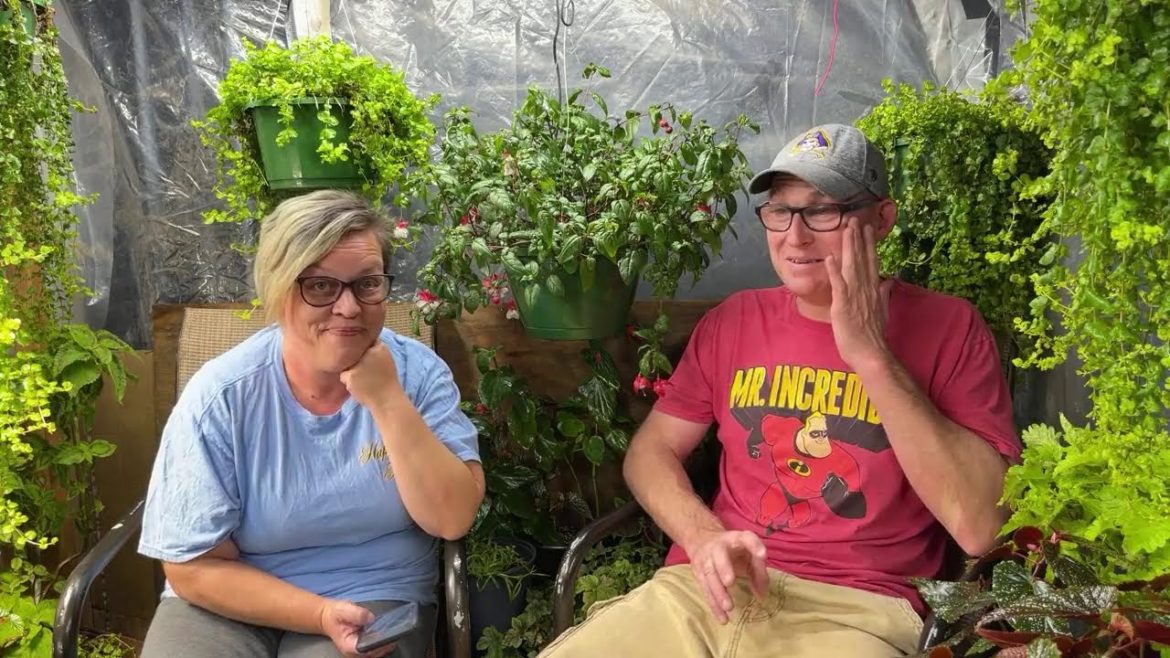 Going live in the garden