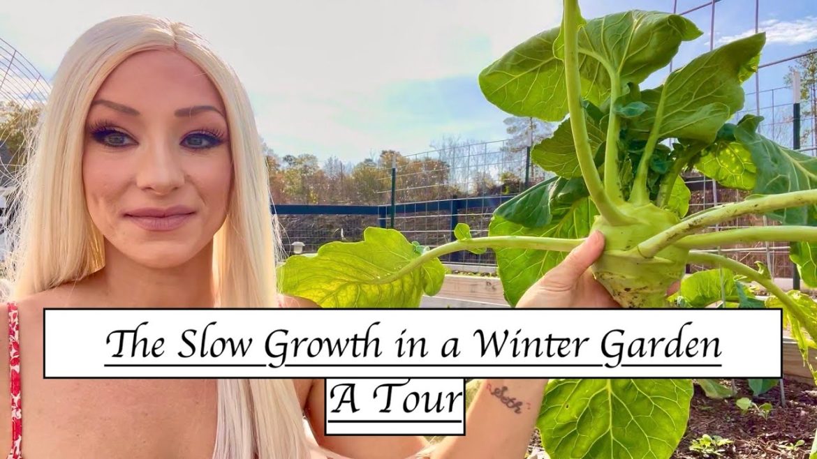 The Slow Growth in a Winter Garden: A Tour
