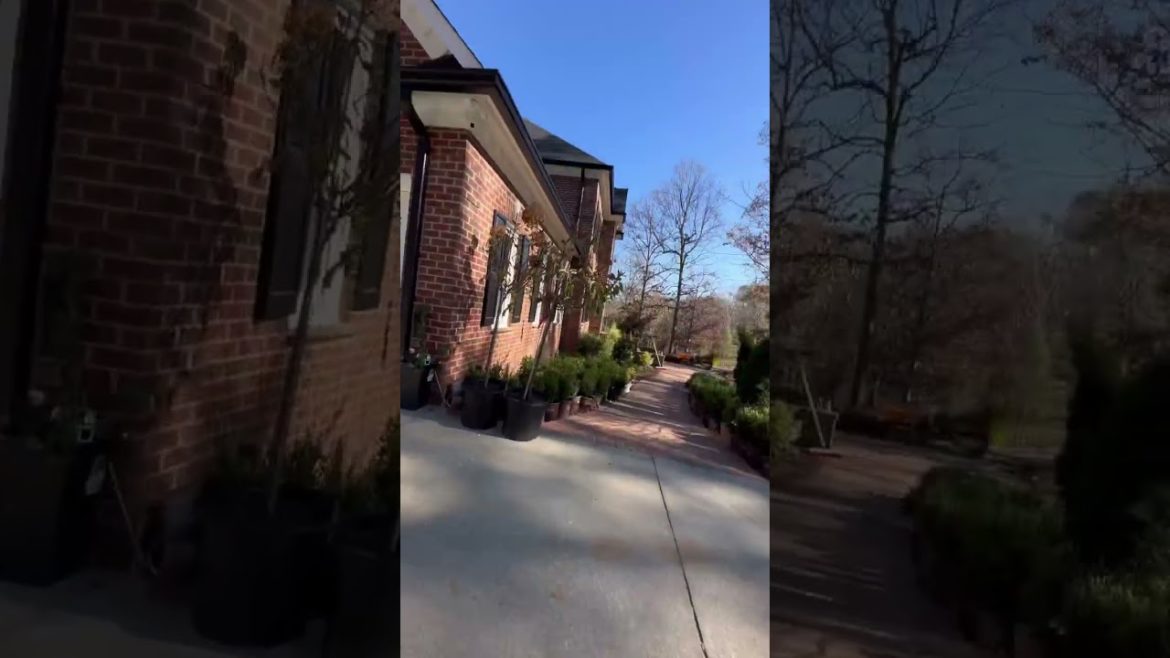 Some finishing touches and 👌Box wood planting!