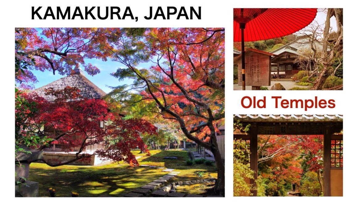 【JAPAN TRAVEL：KAMAKURA】Walking in Kamakura in Autumn　Japanese temples and garden with autumn colors