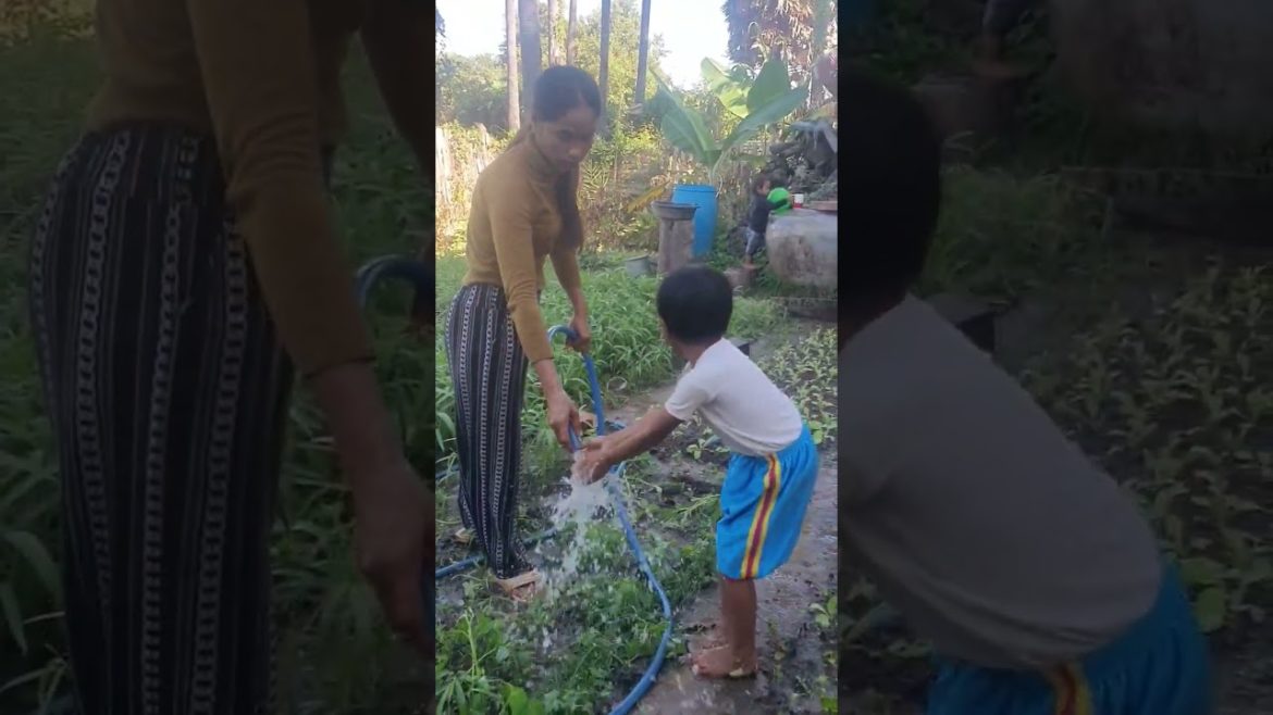 Beautiful widow' rural life working in Vegetable gardening, #shorts