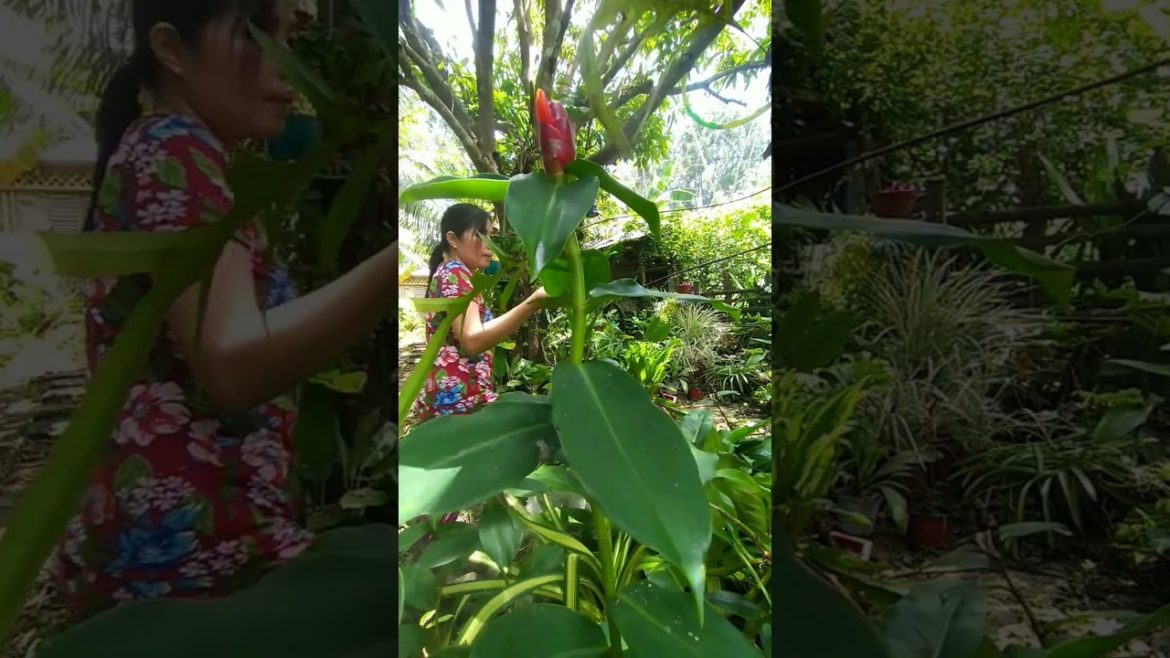 When food is not available, I do this😋 #shorts #edibleplants