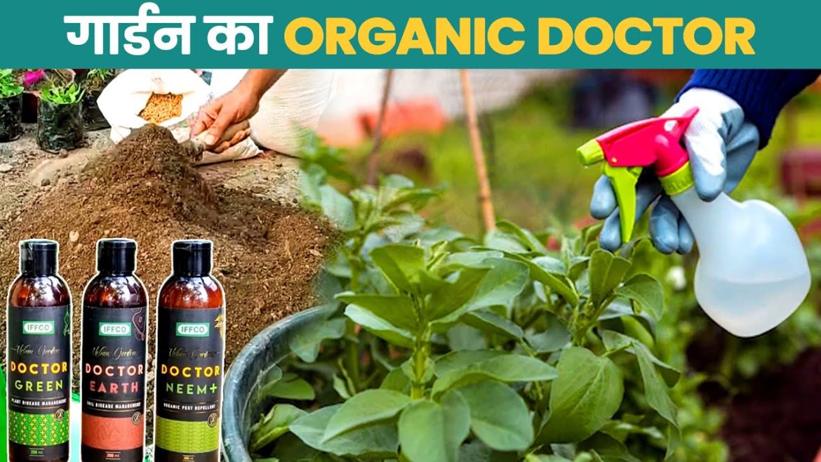 Gardening Problems Ka 100% Organic Solution | IFFCO Doctor Urban Gardens | Toolsvilla Gardening Problems Ka 100% Organic Solution | IFFCO Doctor Urban Gardens | Toolsvilla