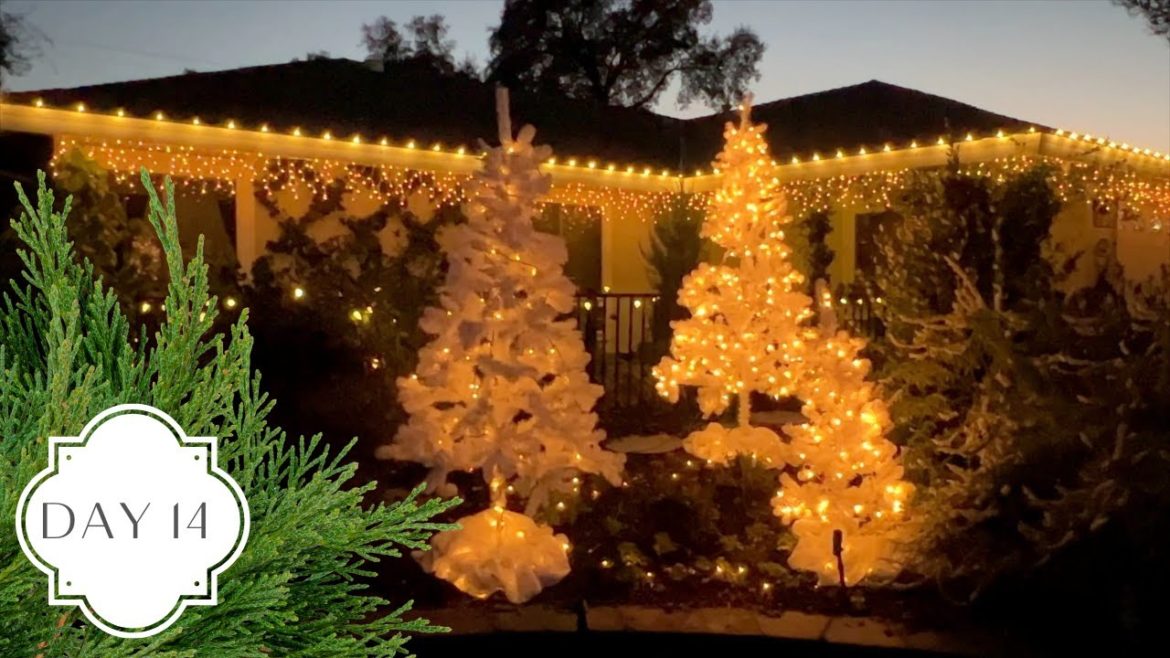 Holidays in the Garden Day 14! :: Nighttime Holiday Lights Tour! Holidays in the Garden Day 14! :: Nighttime Holiday Lights Tour!