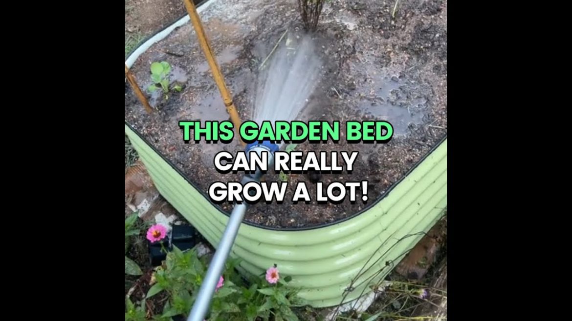 This garden bed can really grow a lot!#Ollegardens This garden bed can really grow a lot!#Ollegardens