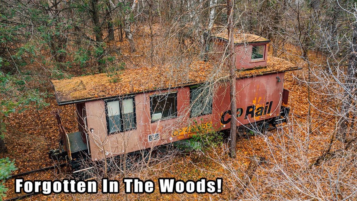 This Vintage 1940's Train Caboose Has Sat ABANDONED in the Forest for Over 30 Years!