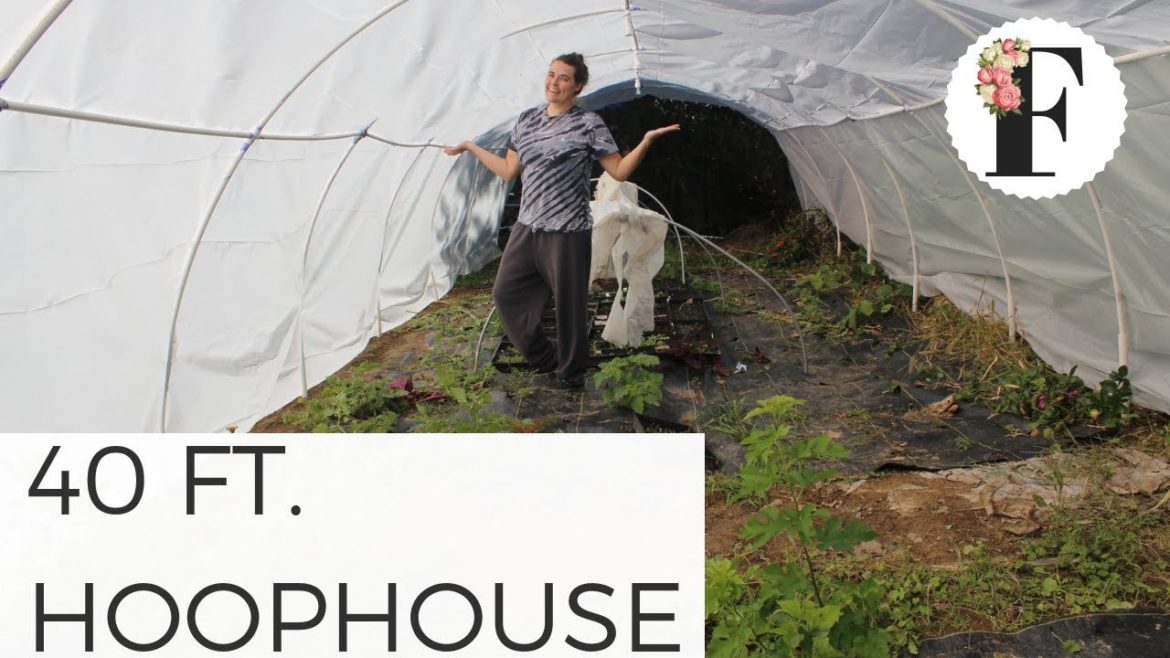 Building a MASSIVE Hoophouse for Under $200! Cut Flower Farm Gardening for Beginners FRESHCUTKY