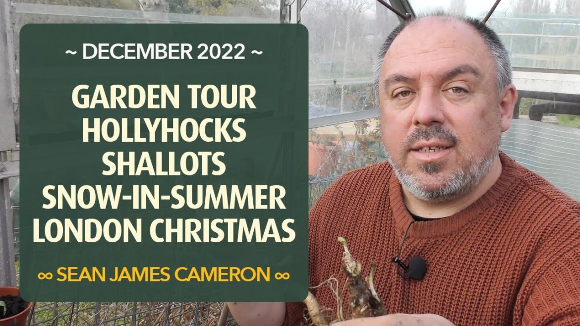 End-of-Season Plant Sales | London Night Out & Christmas Lights End-of-Season Plant Sales | London Night Out & Christmas Lights