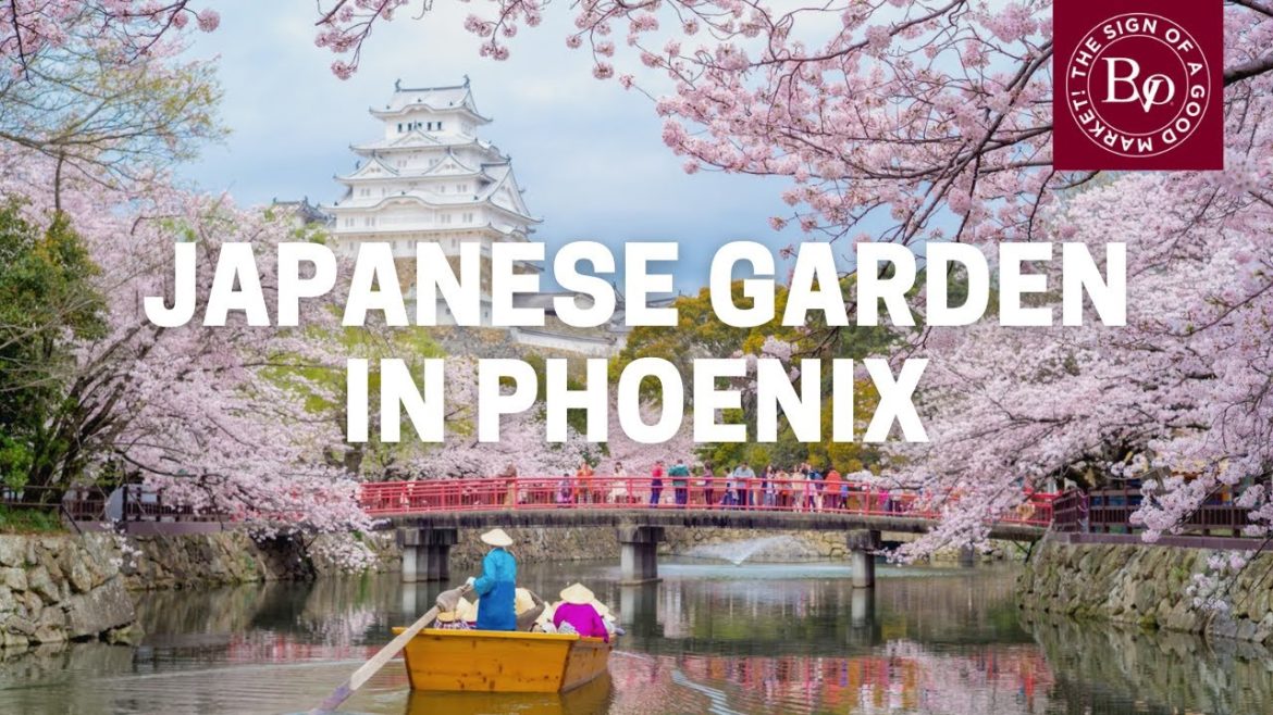 A Japanese Garden In Downtown Phoenix?? | Link Between Japan & Phoenix!