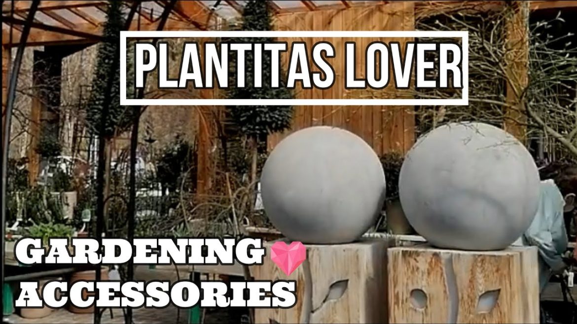 BUYING TOOLS AND GARDENING ACCESSORIES / PLANTITAS LOVER / #shorts by Liza Mejer