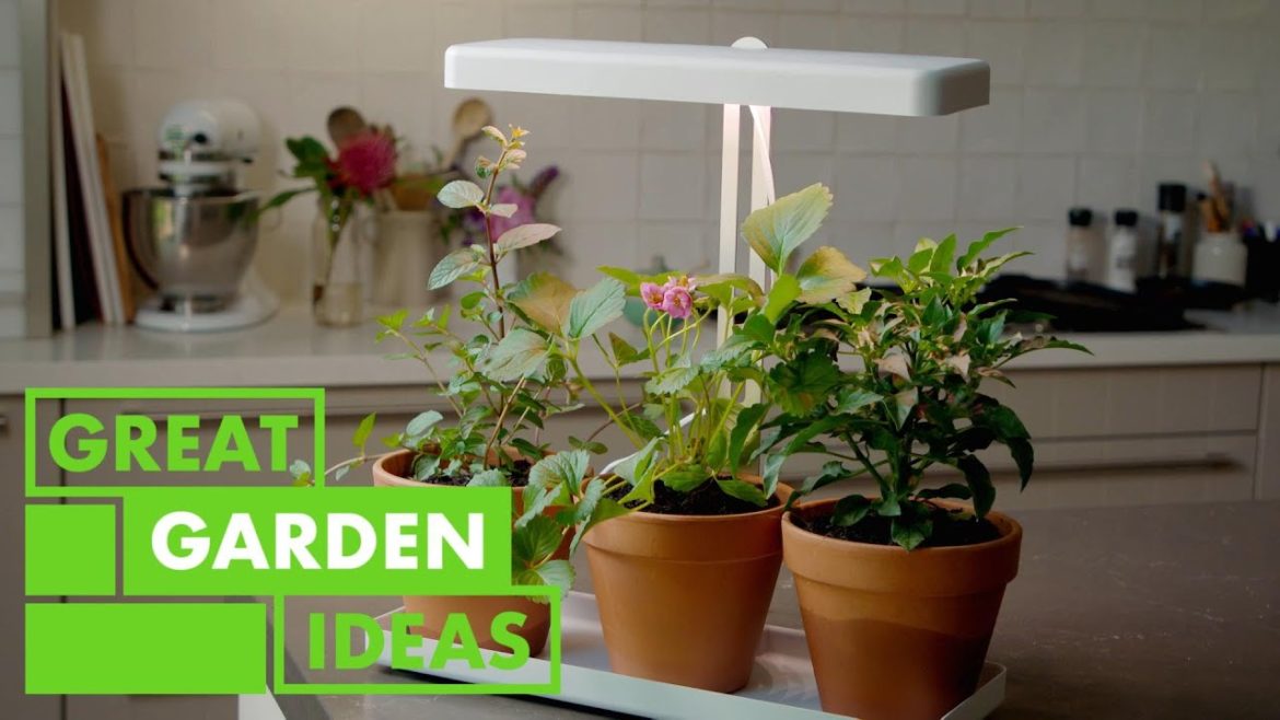 The Gift of Herbs | GARDEN | Great Home Ideas