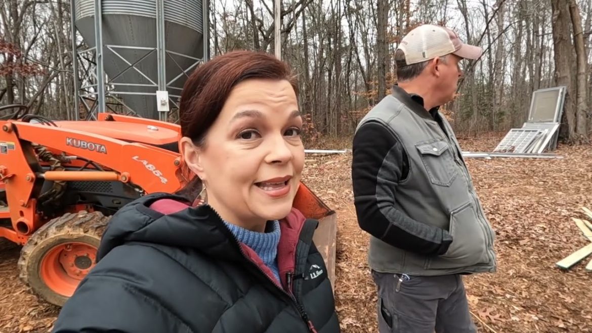 Installing the Roof & Fun New Azaleas In the Berm | Gardening with Creekside Installing the Roof & Fun New Azaleas In the Berm | Gardening with Creekside