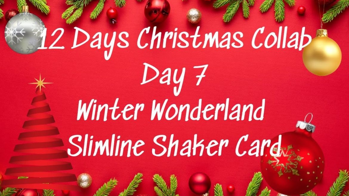 Day 7 - 12 Days of Christmas Winter Wonderland Slimline Shaker Card