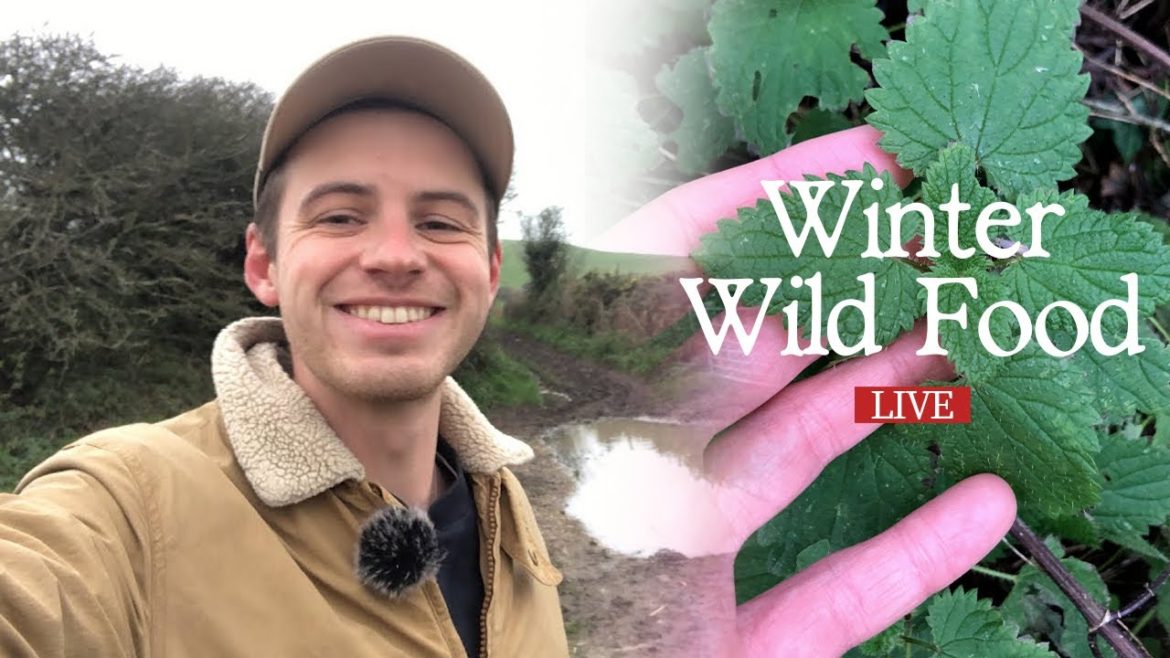 π΄ LIVE – Winter Foraging Walk π΄ LIVE - Winter Foraging Walk