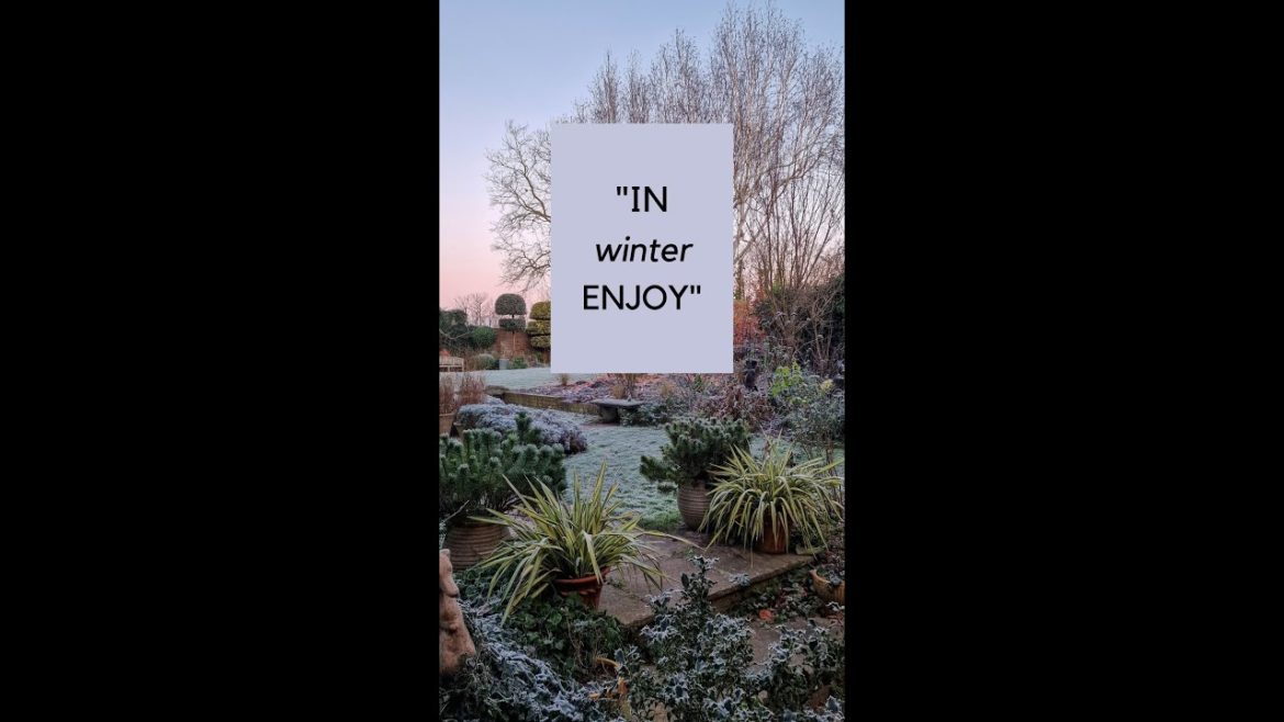 6 Things to Enjoy in Your Winter Garden