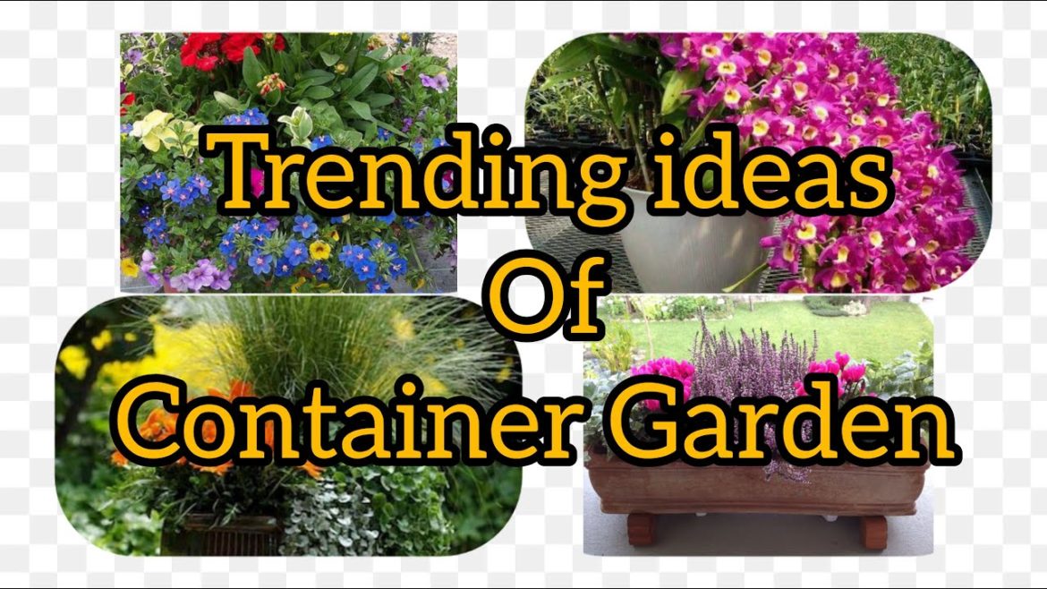 SMART TIPS FOR CONTAINER GARDEN | Garden Aesthetic SMART TIPS FOR CONTAINER GARDEN | Garden Aesthetic