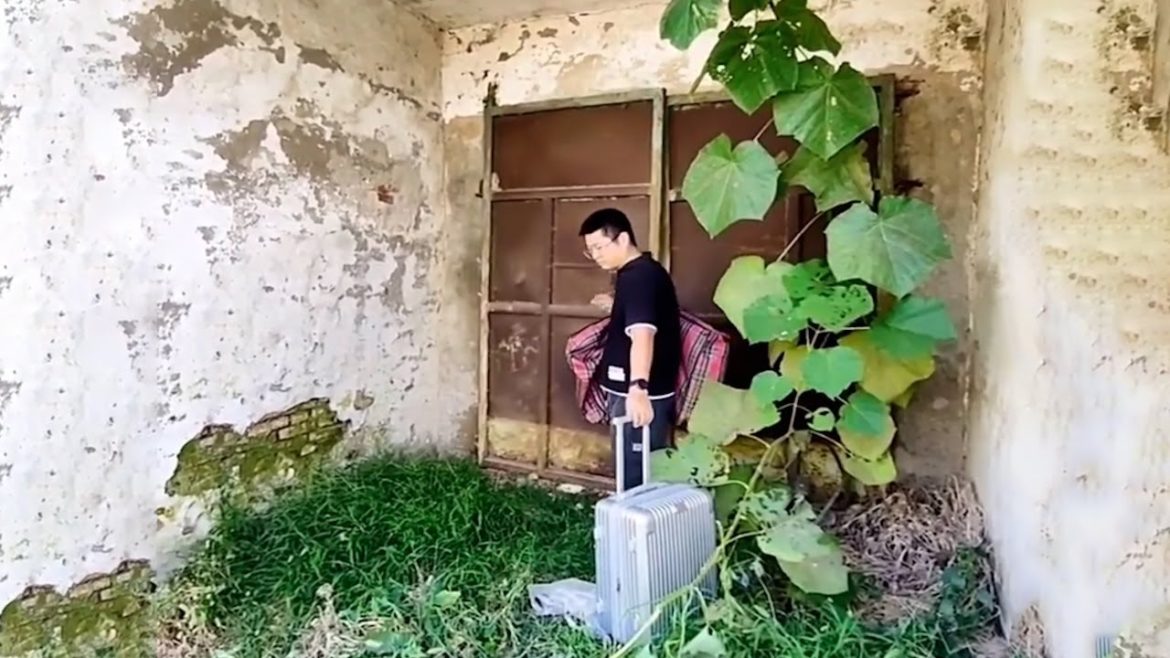 Leave the city! Renovating an old house with a front and back yard - My wife helps me sometimes