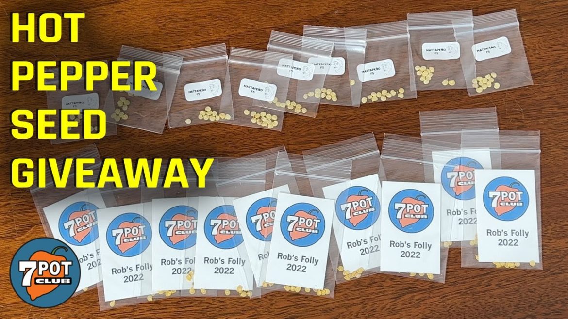 Holiday Hot Pepper Seed Giveaway 2022