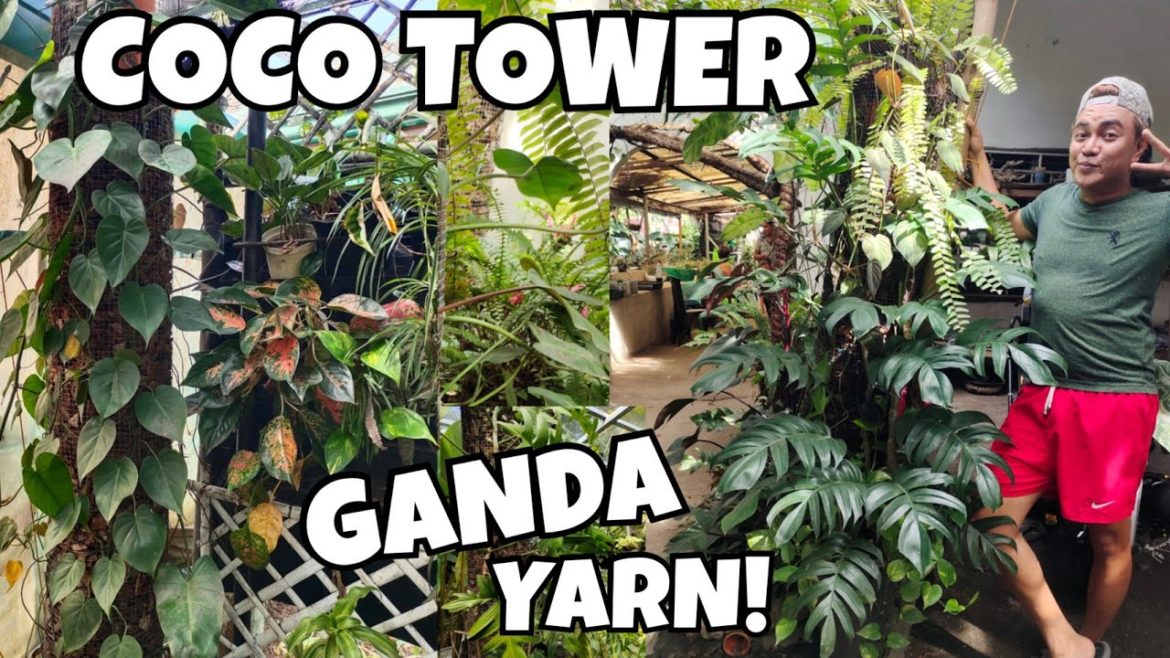 COCO TOWER GARDEN CREATIVE IDEA | PLANT UPDATES & CARE TIPS + GARDEN TOUR