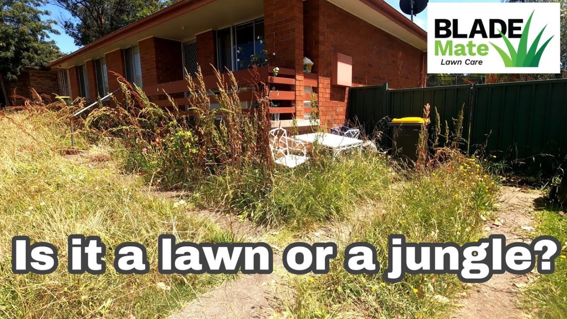 Ugly yard is now beautiful  - Mowing tall grass