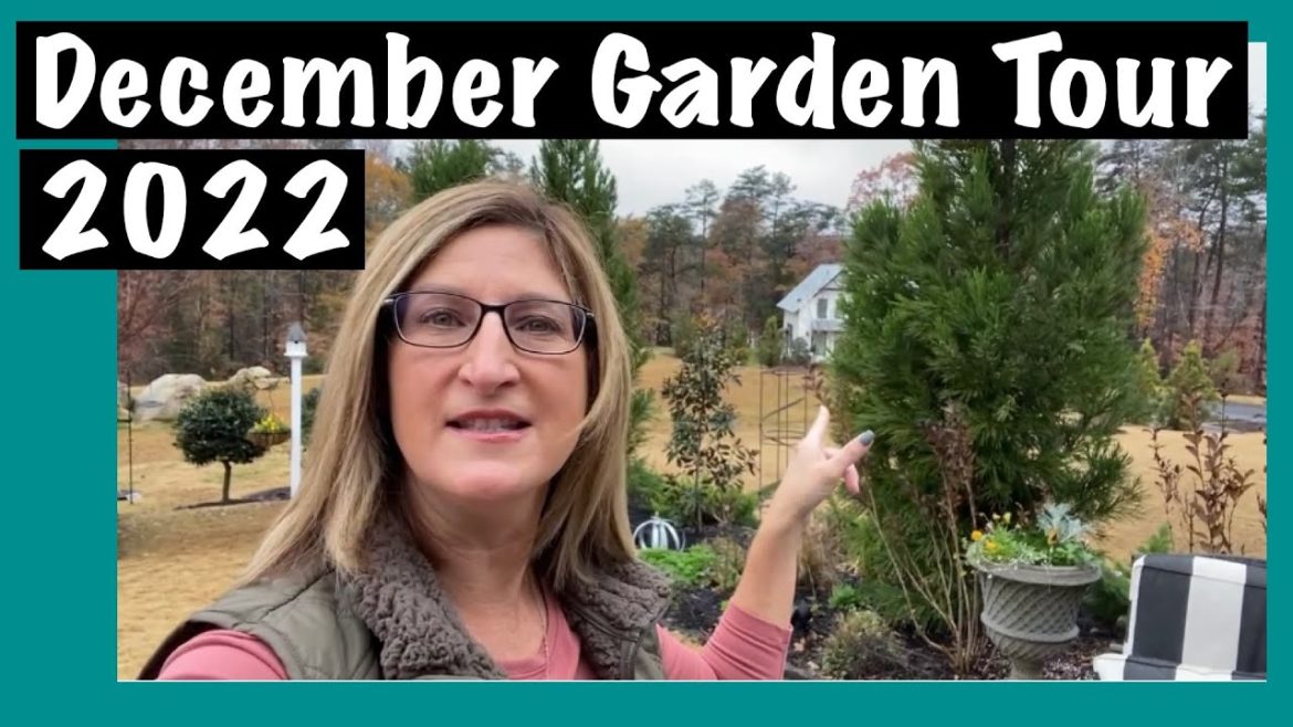 December Garden Tour 2022