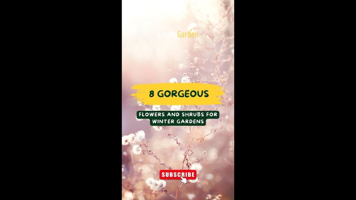 8 Gorgeous Flowers and Shrubs for Winter Gardens ๐บ๐ฟ๐ท // #short #shorts 8 Gorgeous Flowers and Shrubs for Winter Gardens ๐บ๐ฟ๐ท // #short #shorts