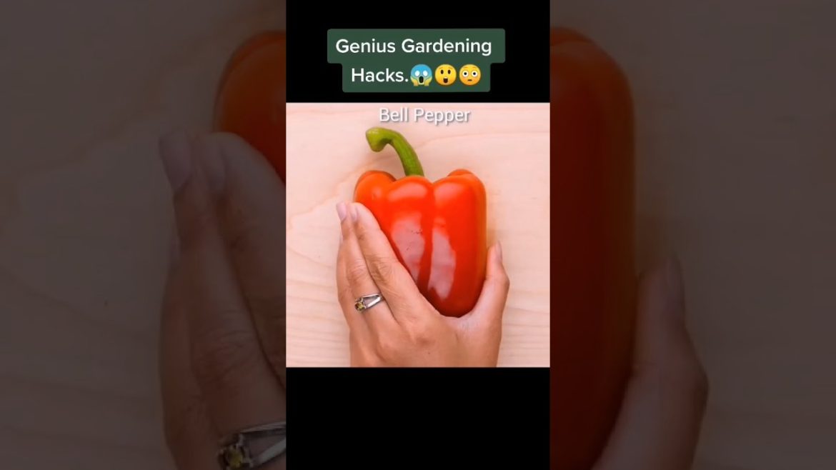 genius gardening hack😱#shortvideo #tips #shorts