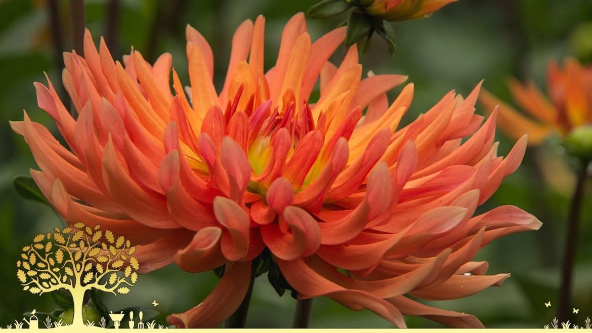 Gardeners' World 2022🍀Winter Specials Episode 2