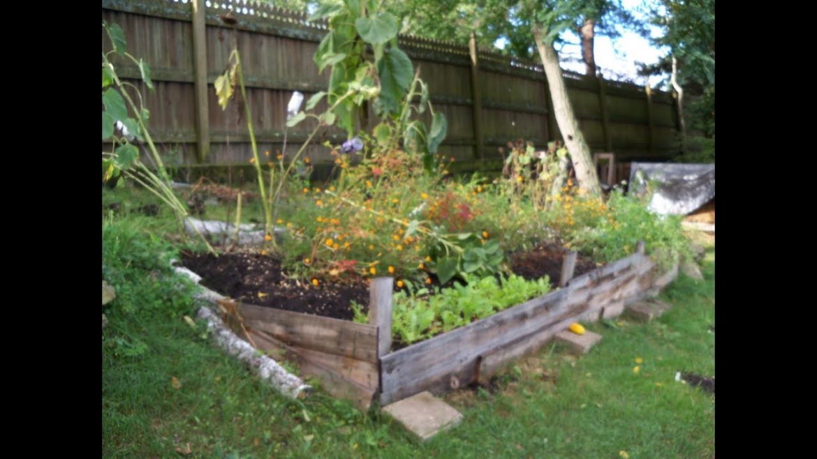 New Gardener Tip 6 – Keep Learning New Gardener Tip 6 - Keep Learning