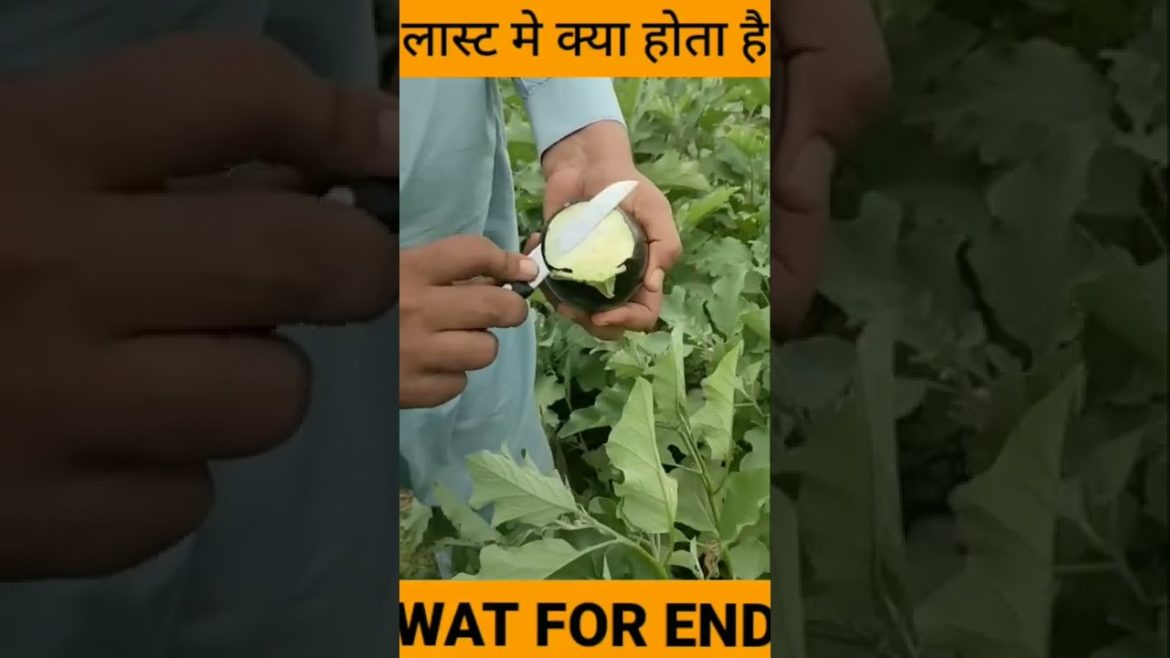 #factshorts #shorts #short #shortsfeed #ytshorts #youtubeshorts #yt #facts