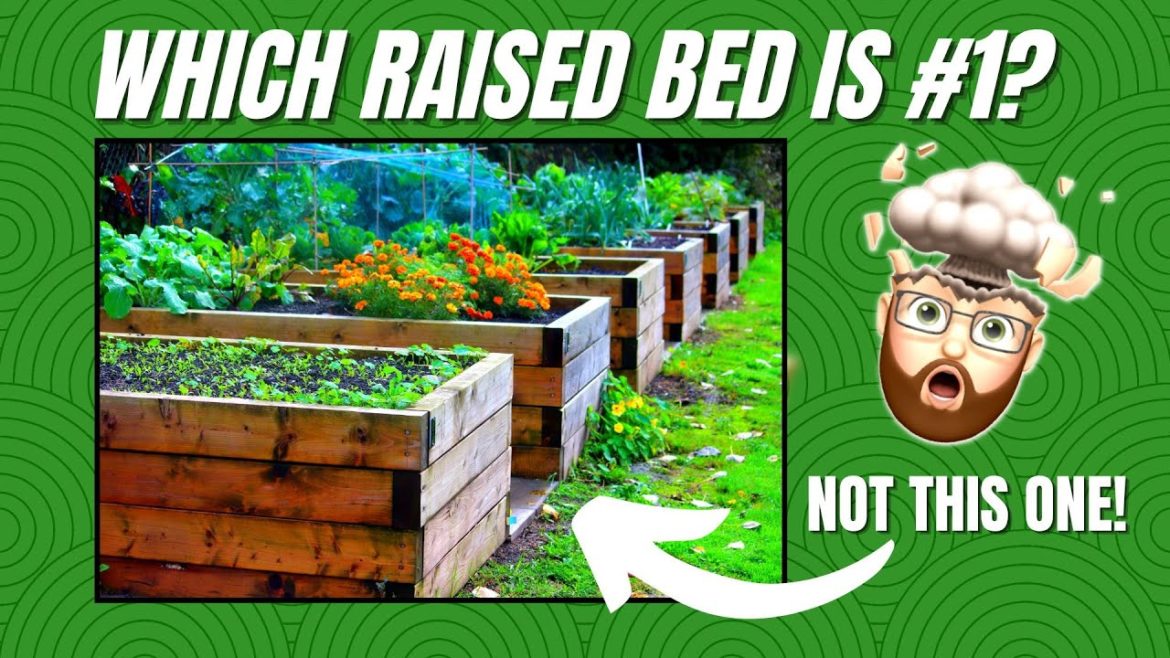 RANKED: The BEST (and Worst) Raised Garden Materials RANKED: The BEST (and Worst) Raised Garden Materials