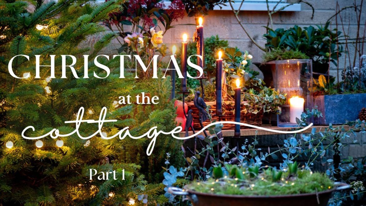 I made my DREAM CHRISTMAS GARDEN decor ๐โจ Christmas at the cottage I made my DREAM CHRISTMAS GARDEN decor ๐โจ Christmas at the cottage
