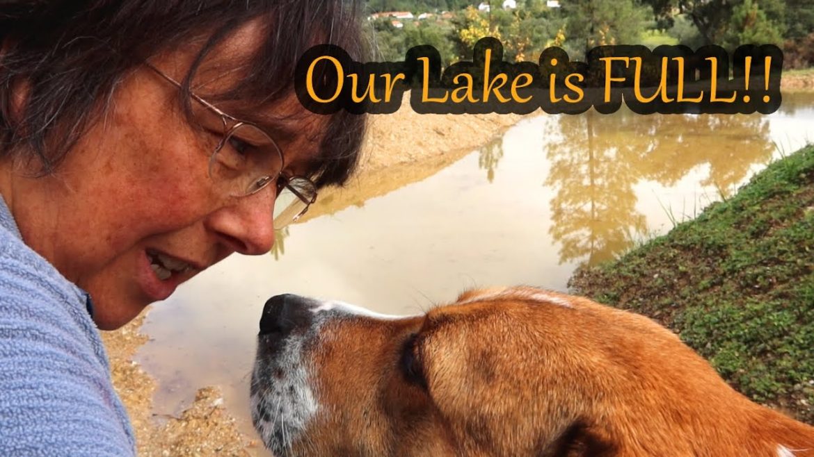 Vlogmas #10 There is Water in our Lake | Plans for all the Water on our land in Central Portugal Vlogmas #10 There is Water in our Lake | Plans for all the Water on our land in Central Portugal