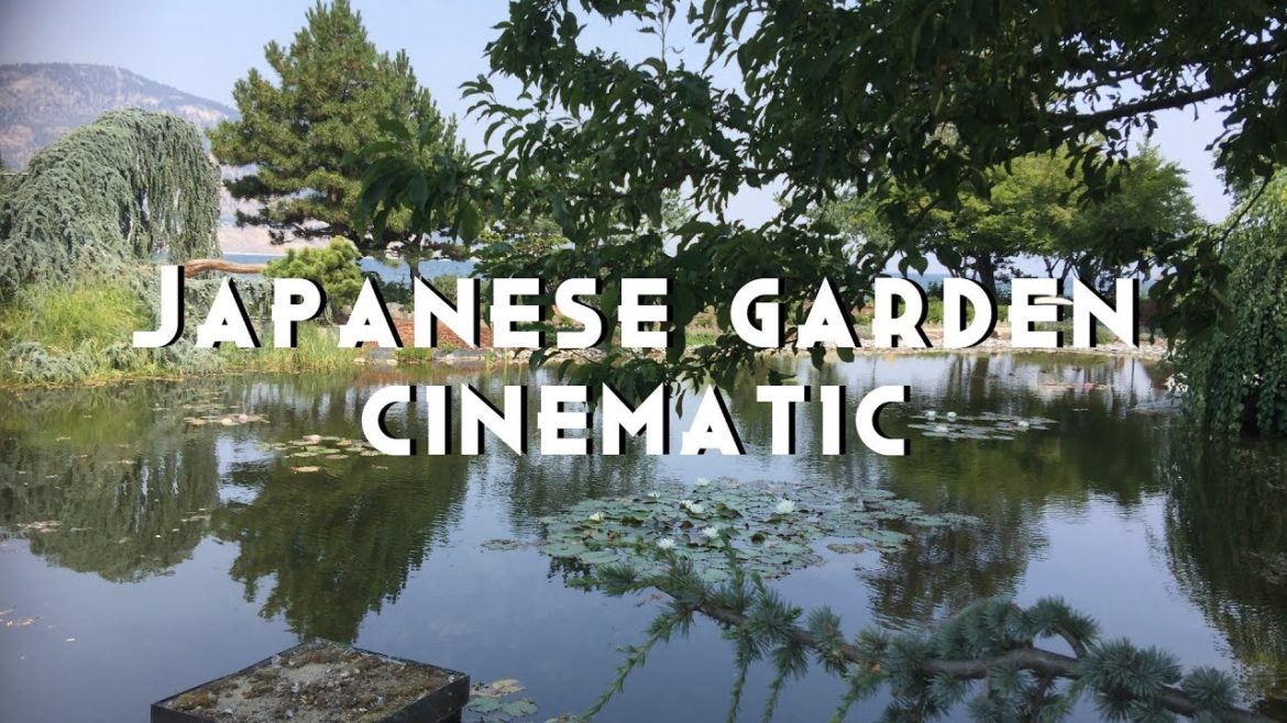 Japanese Garden | Cinematic