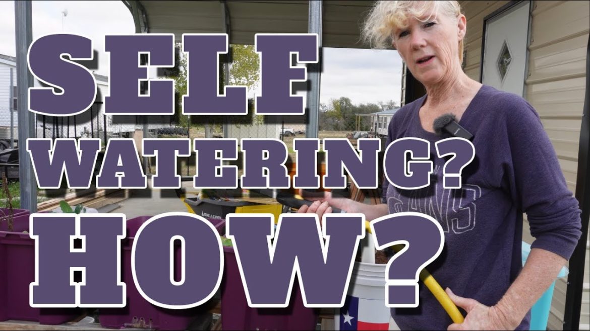 Simple easy self watering bucket garden Simple easy self watering bucket garden