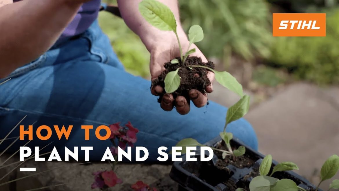 STIHL Garden Tips | Planting & seeding with Jane Moore | STIHL Tutorial