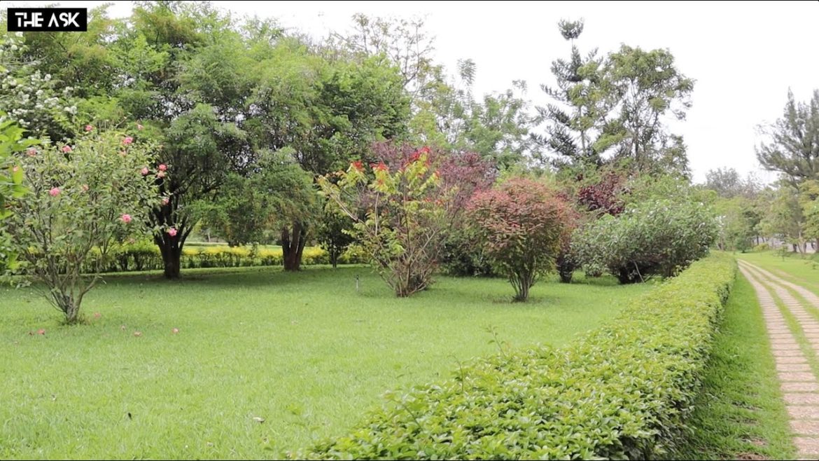 Number one SUPER STUNNING Garden In Kigali Rwanda Kimihurura | The Ask