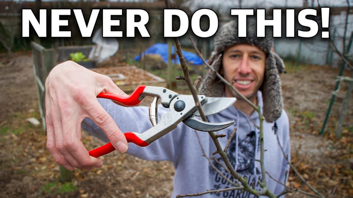 James Prigioni: This Technique of Pruning Trees Will Change Your Life This Technique of Pruning Trees Will Change Your Life