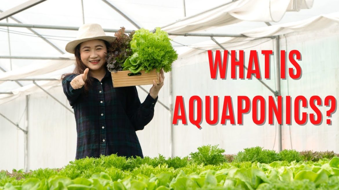 WHAT IS AQUAPONICS? WHAT IS AQUAPONICS?