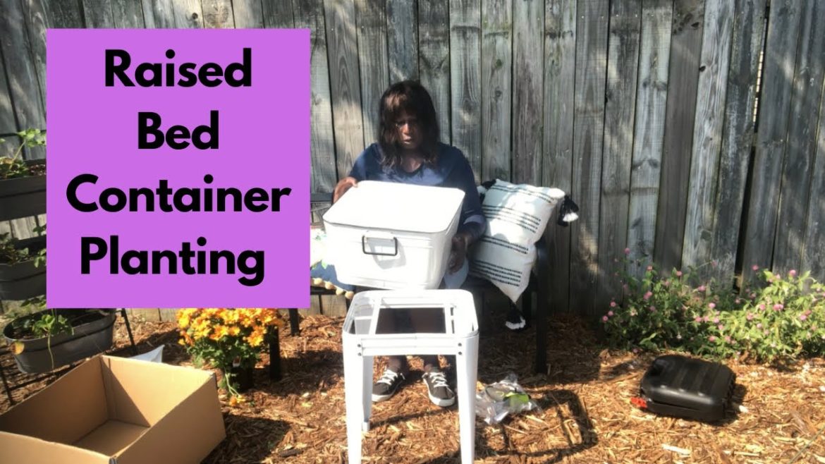 Vertical Gardening|Container Gardening@Gardenhauling 🪴🥬☀️