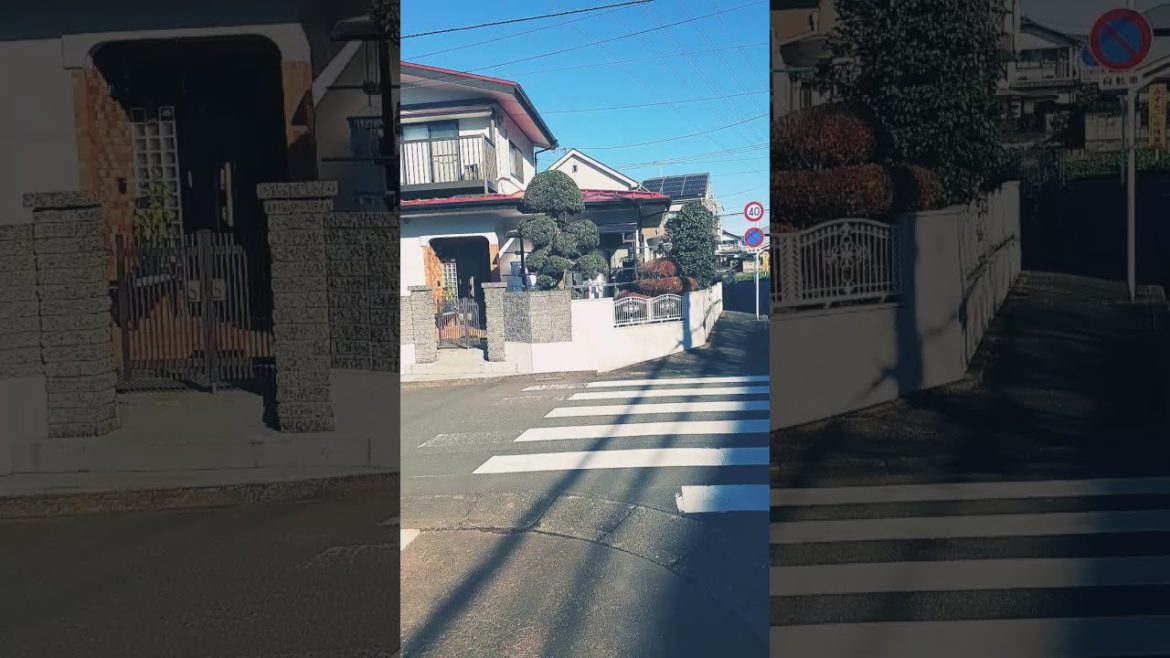 Japanese garden Japanese garden