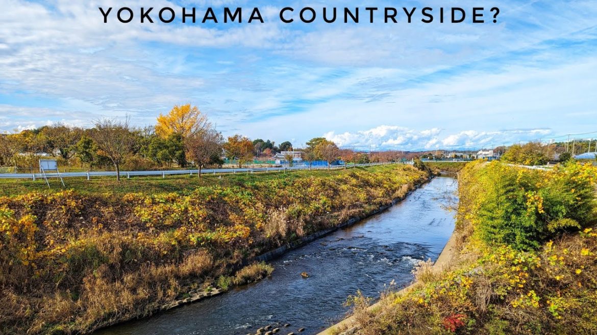Autumn Japan Walk - Jikecho - Yokohama Countryside 🍁 An Old Favourite Revisited