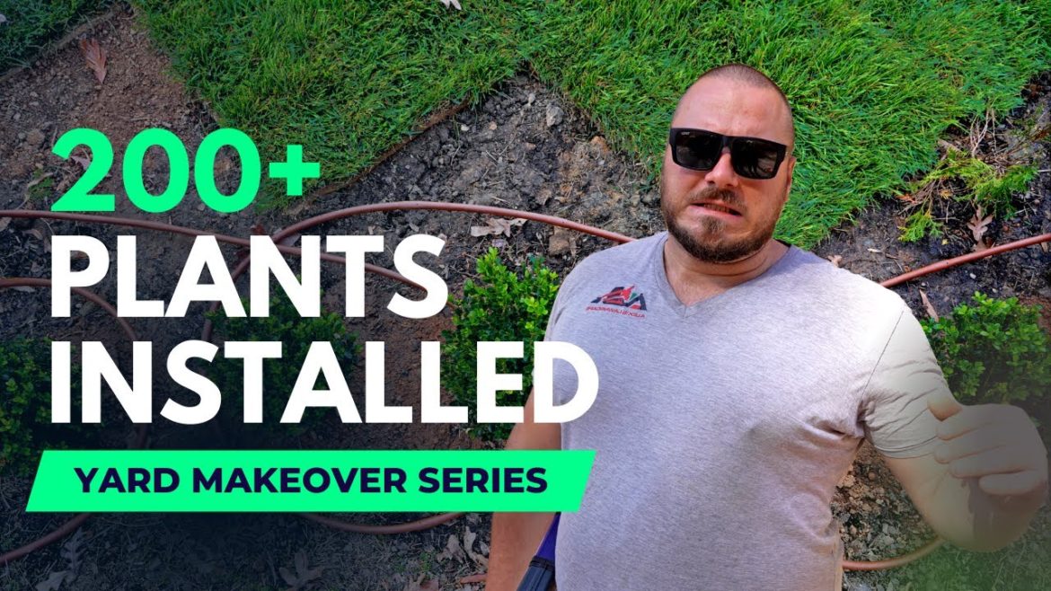 200 + Plants, 9 Tree Removals, Fescue Sod, Irrigation System. & Mulch | Yard Makeover Series 200 + Plants, 9 Tree Removals, Fescue Sod, Irrigation System. & Mulch | Yard Makeover Series