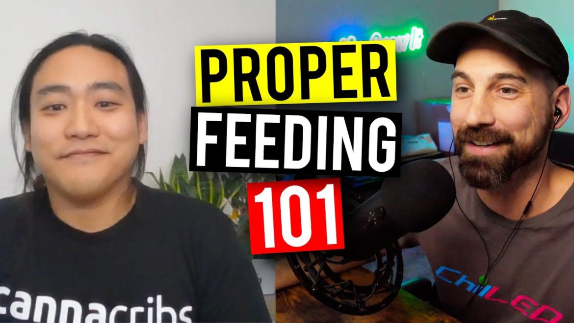 Proper Nutrition For Plants Throughout Their Life! (Garden Talk #95) Proper Nutrition For Plants Throughout Their Life! (Garden Talk #95)