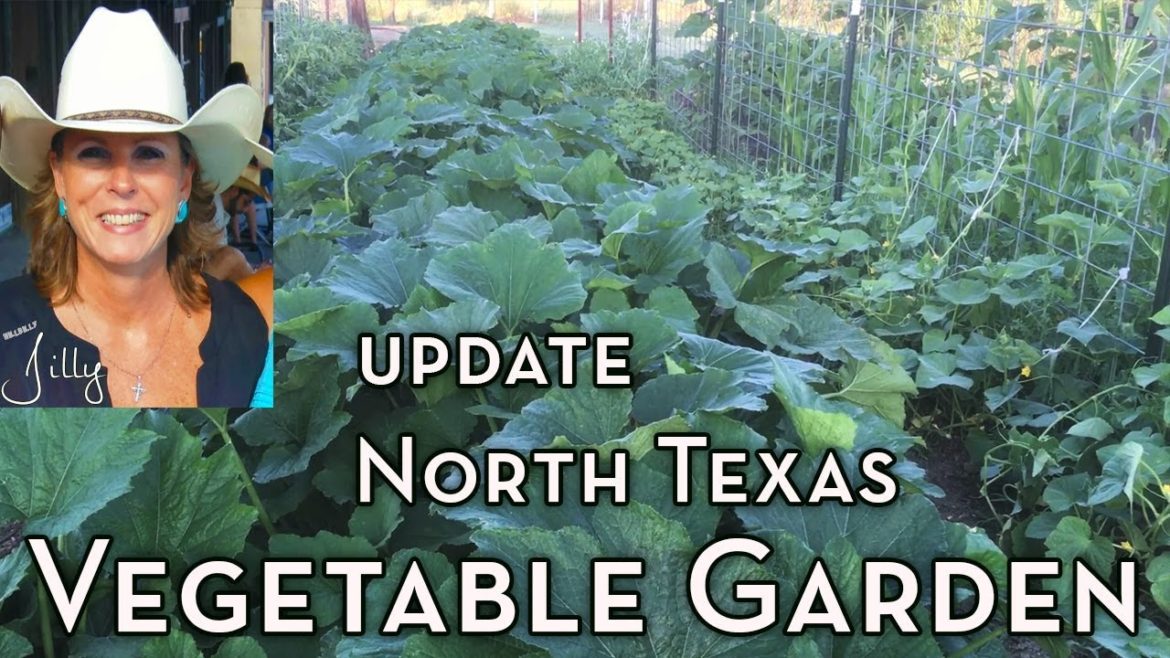 Vegetable Garden Update - Early June