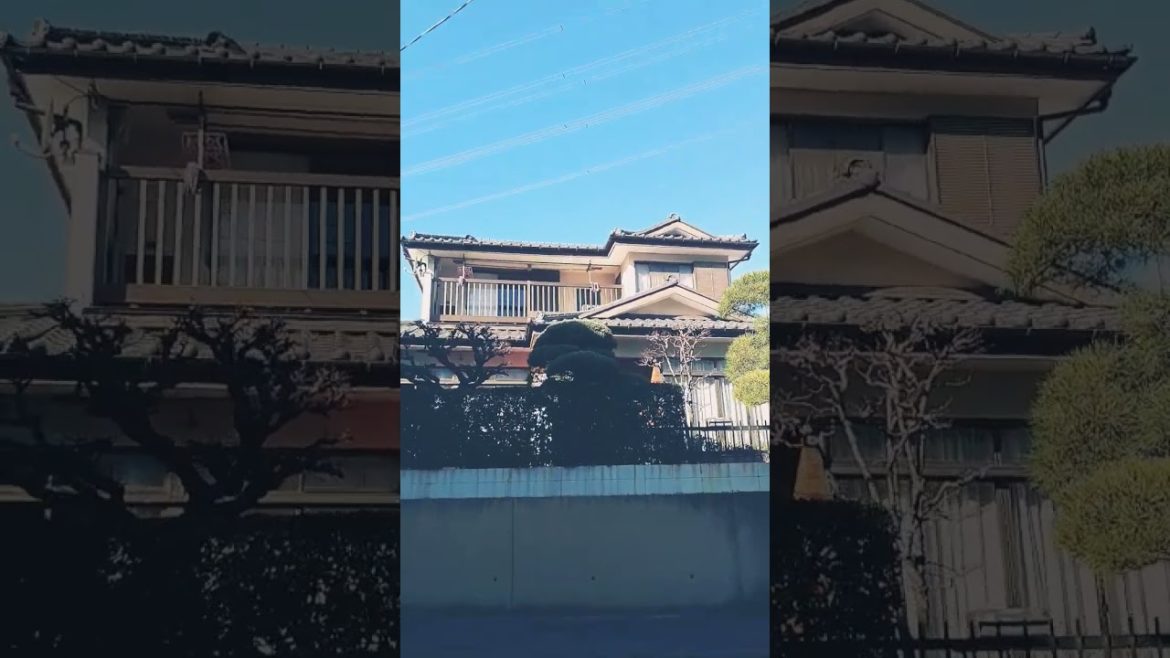 Japanese garden Japanese garden